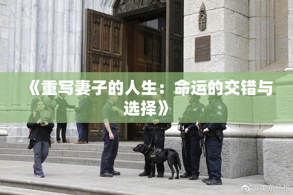 《重写妻子的人生：命运的交错与选择》