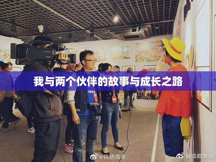 我与两个伙伴的故事与成长之路