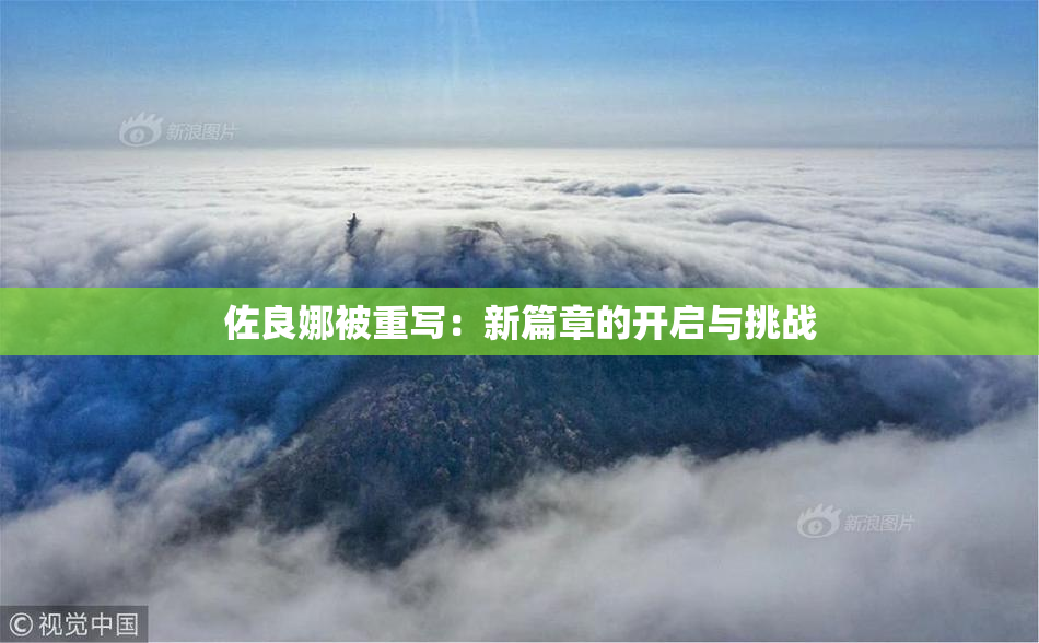 佐良娜被重写：新篇章的开启与挑战