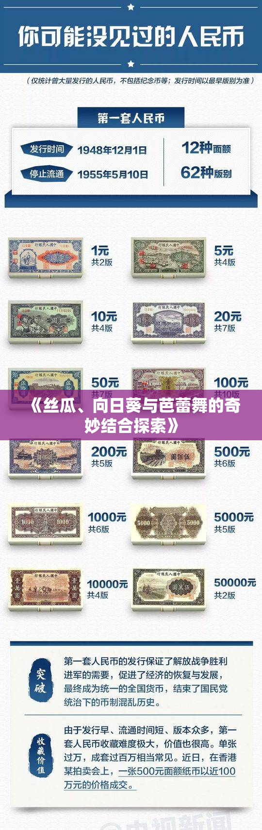 《丝瓜、向日葵与芭蕾舞的奇妙结合探索》