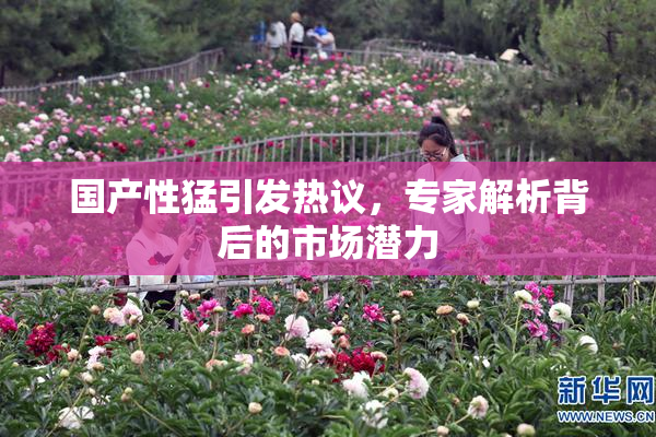 国产性猛引发热议，专家解析背后的市场潜力