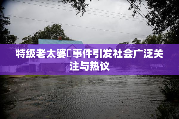 特级老太婆婬事件引发社会广泛关注与热议