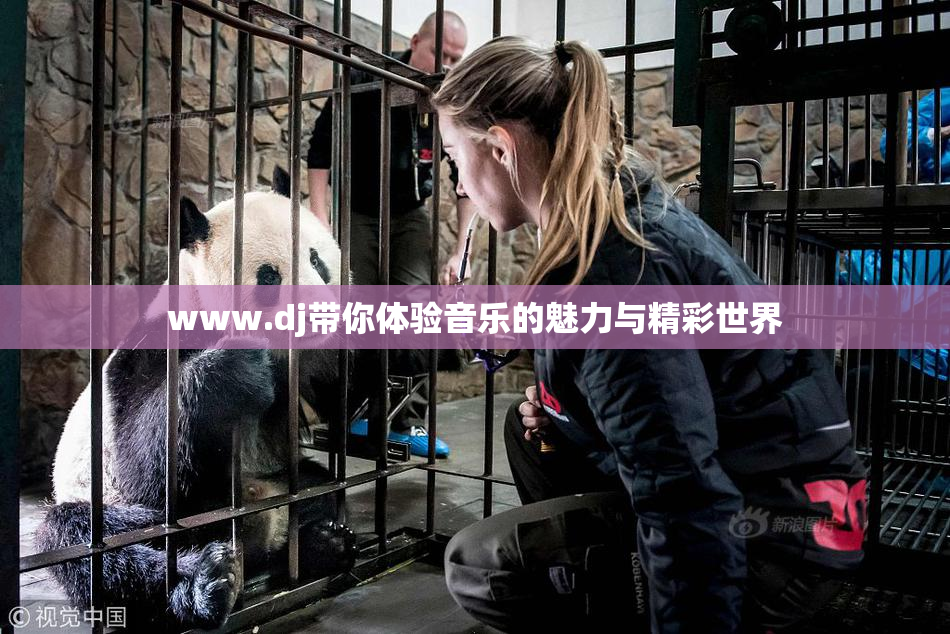 www.dj带你体验音乐的魅力与精彩世界