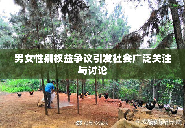 男女性别权益争议引发社会广泛关注与讨论