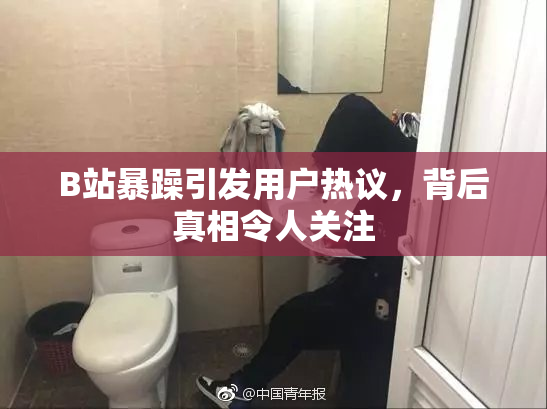 B站暴躁引发用户热议，背后真相令人关注