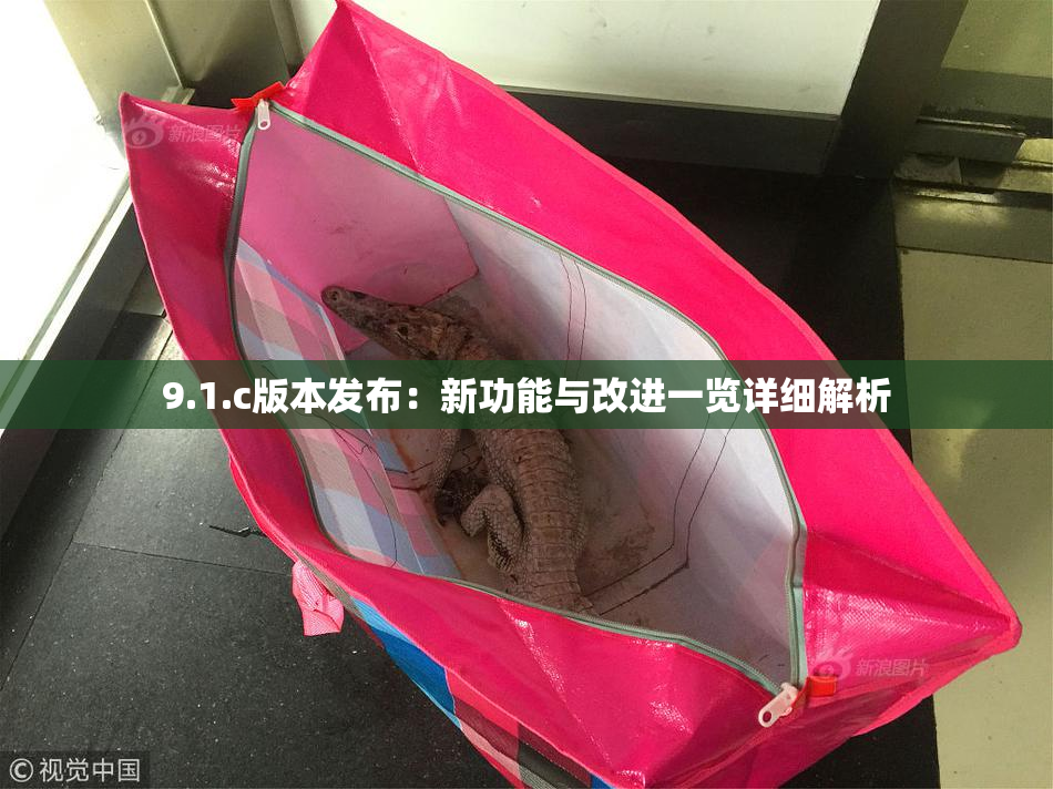 9.1.c版本发布：新功能与改进一览详细解析