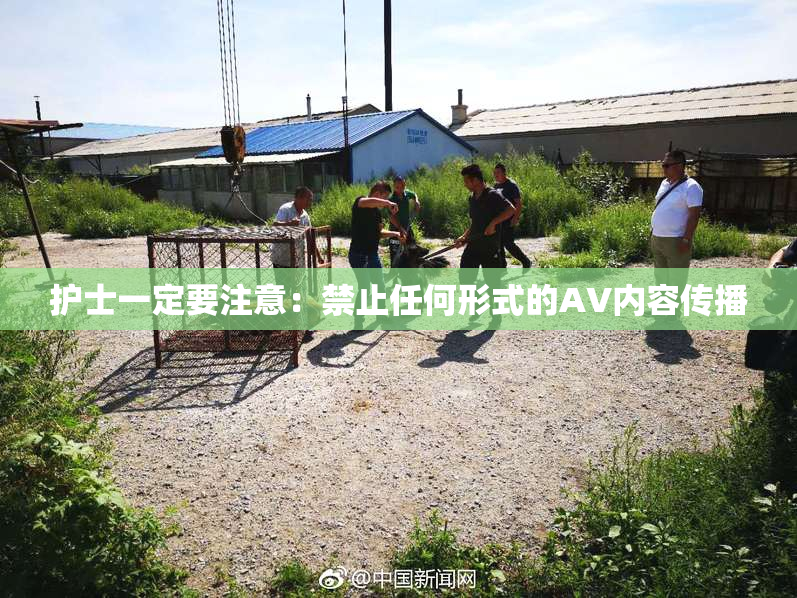 护士一定要注意：禁止任何形式的AV内容传播