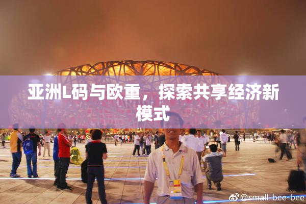 亚洲L码与欧重，探索共享经济新模式