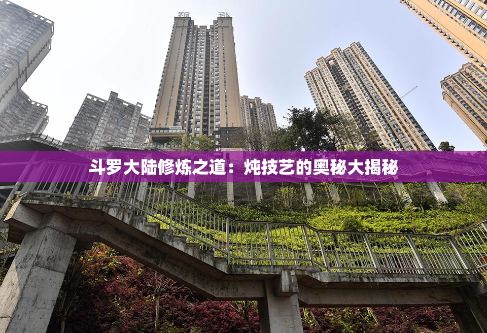 斗罗大陆修炼之道：炖技艺的奥秘大揭秘