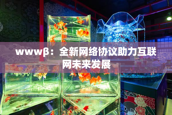 wwwβ：全新网络协议助力互联网未来发展