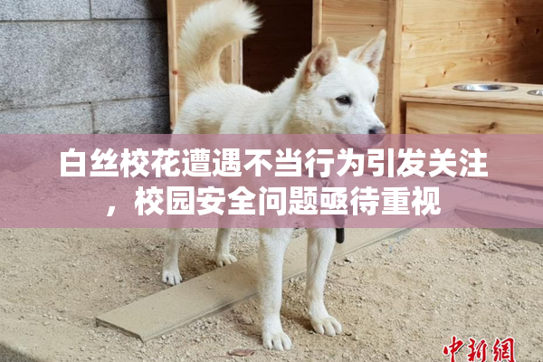 白丝校花遭遇不当行为引发关注，校园安全问题亟待重视