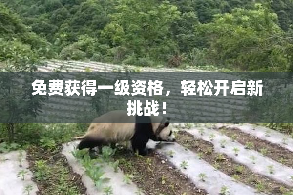 免费获得一级资格，轻松开启新挑战！