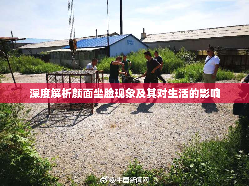 深度解析颜面坐脸现象及其对生活的影响