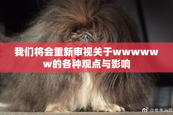 我们将会重新审视关于wwwwww的各种观点与影响