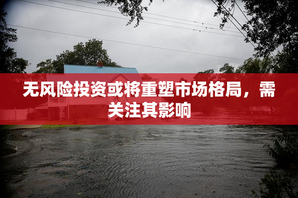 无风险投资或将重塑市场格局，需关注其影响