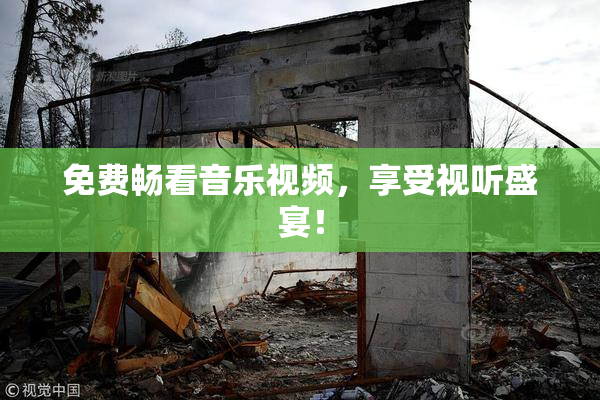 免费畅看音乐视频，享受视听盛宴！