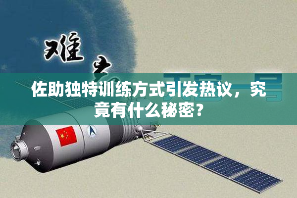 佐助独特训练方式引发热议，究竟有什么秘密？