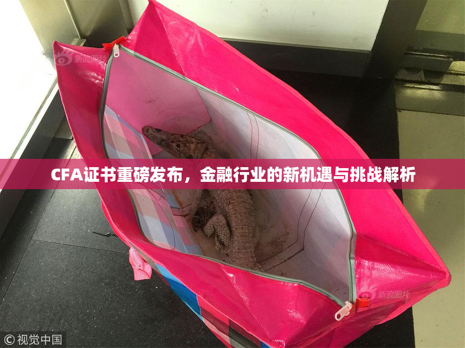 CFA证书重磅发布，金融行业的新机遇与挑战解析