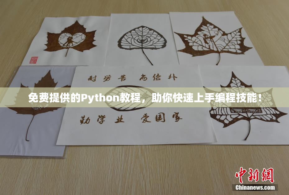 免费提供的Python教程，助你快速上手编程技能！