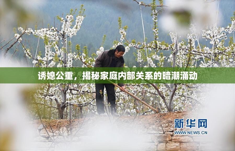 诱媳公重，揭秘家庭内部关系的暗潮涌动