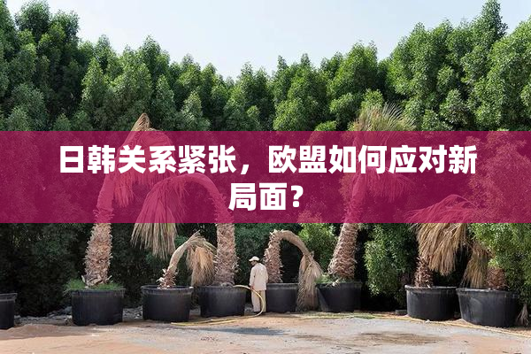 日韩关系紧张，欧盟如何应对新局面？