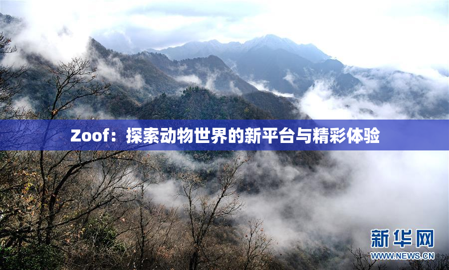Zoof：探索动物世界的新平台与精彩体验