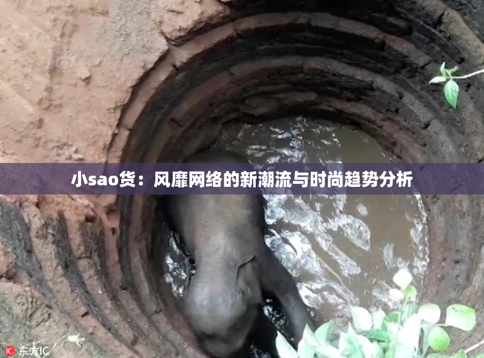 小sao货：风靡网络的新潮流与时尚趋势分析
