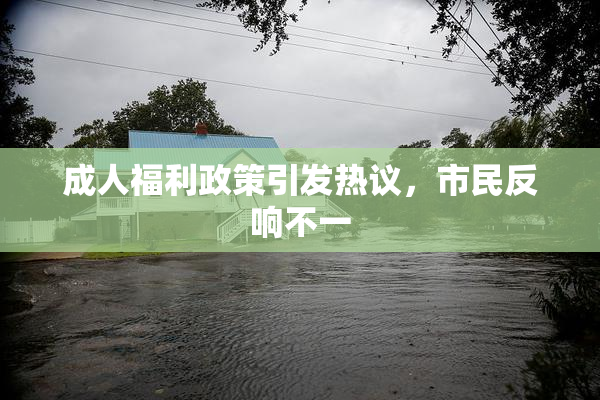 成人福利政策引发热议，市民反响不一