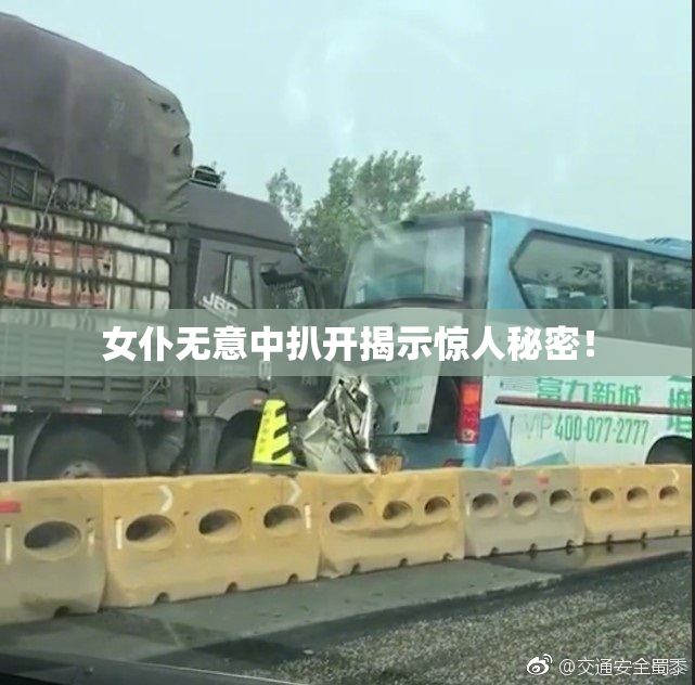 女仆无意中扒开揭示惊人秘密！