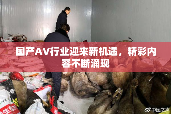 国产AV行业迎来新机遇，精彩内容不断涌现