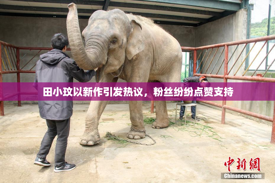 田小玟以新作引发热议，粉丝纷纷点赞支持