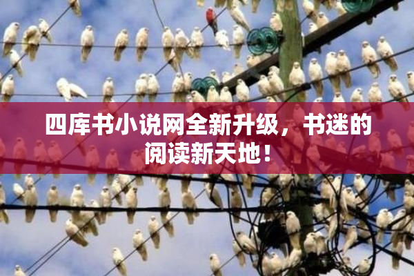 四库书小说网全新升级，书迷的阅读新天地！