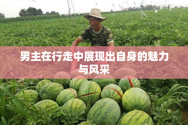 男主在行走中展现出自身的魅力与风采