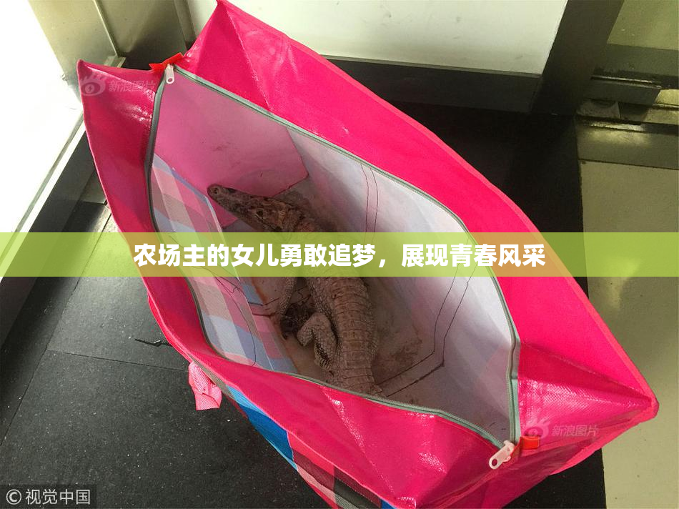 农场主的女儿勇敢追梦，展现青春风采