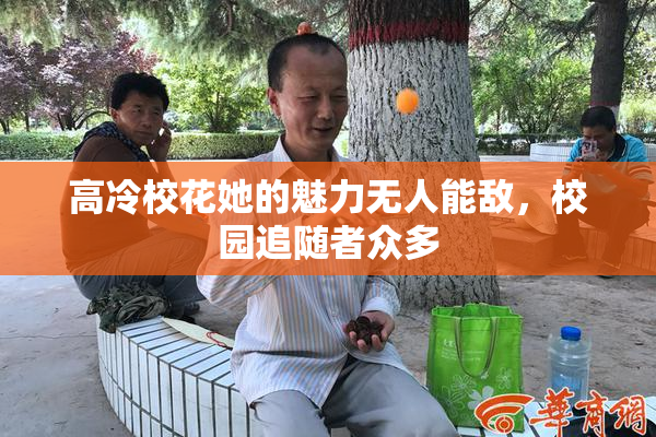 高冷校花她的魅力无人能敌，校园追随者众多