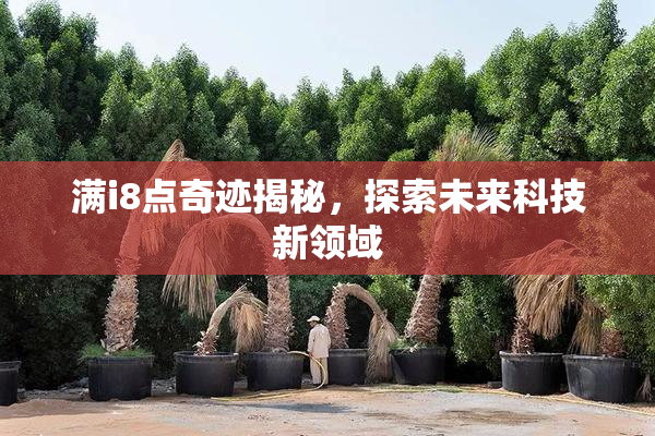 满i8点奇迹揭秘，探索未来科技新领域