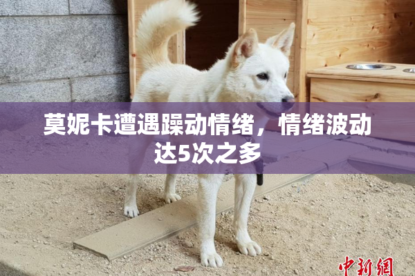 莫妮卡遭遇躁动情绪，情绪波动达5次之多