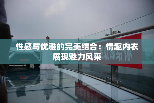 性感与优雅的完美结合：情趣内衣展现魅力风采