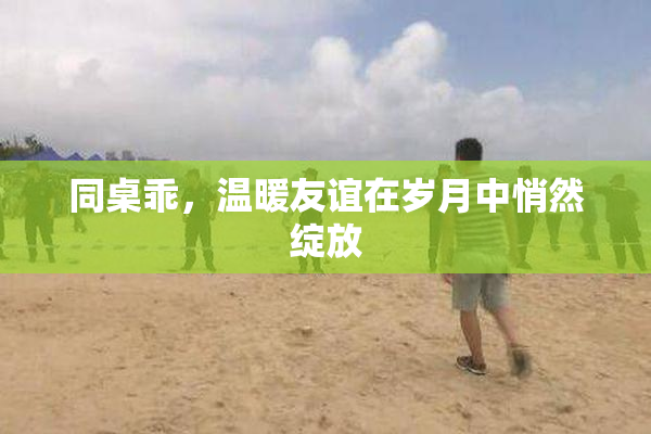 同桌乖，温暖友谊在岁月中悄然绽放