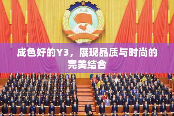 成色好的Y3，展现品质与时尚的完美结合