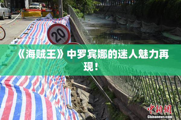 《海贼王》中罗宾娜的迷人魅力再现！