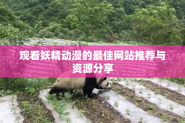 观看妖精动漫的最佳网站推荐与资源分享