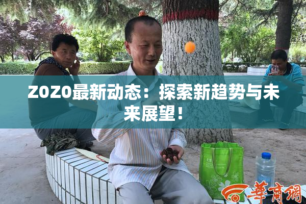 Z0Z0最新动态：探索新趋势与未来展望！