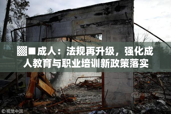 ▓■成人：法规再升级，强化成人教育与职业培训新政策落实