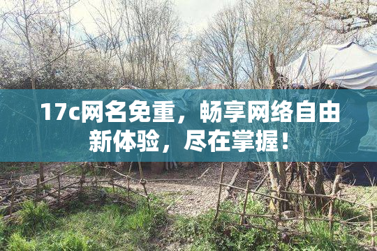17c网名免重，畅享网络自由新体验，尽在掌握！