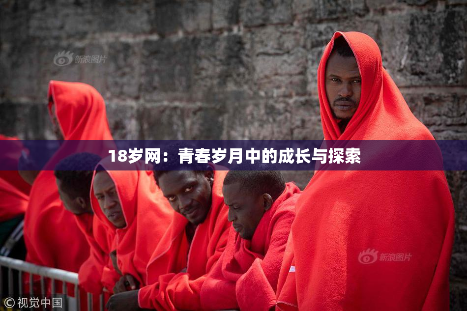 18岁网：青春岁月中的成长与探索