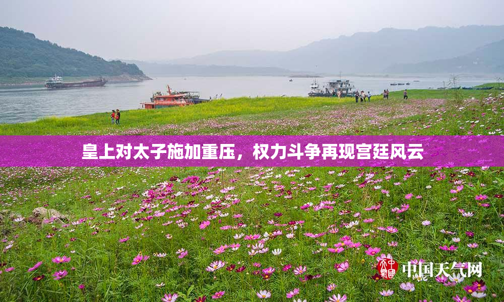 皇上对太子施加重压，权力斗争再现宫廷风云
