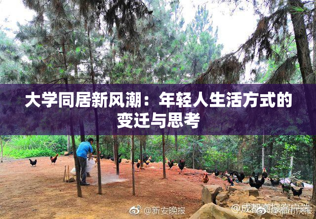 大学同居新风潮：年轻人生活方式的变迁与思考