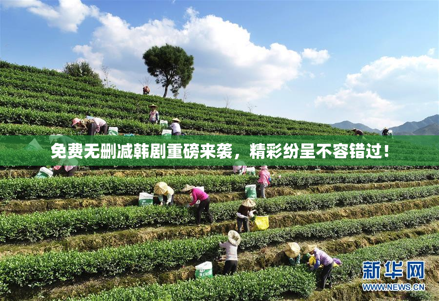 免费无删减韩剧重磅来袭，精彩纷呈不容错过！