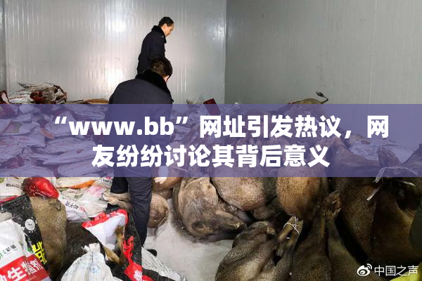 “www.bb”网址引发热议，网友纷纷讨论其背后意义